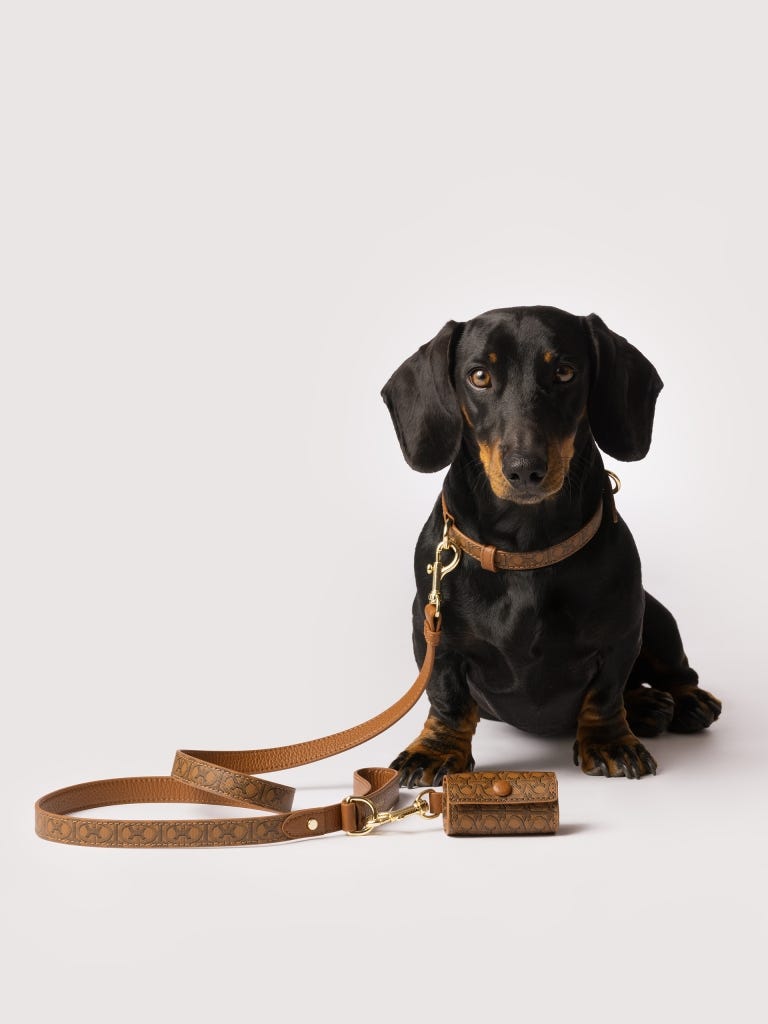Coccinelle Pet Capsule - Multi Cognac / Cognac