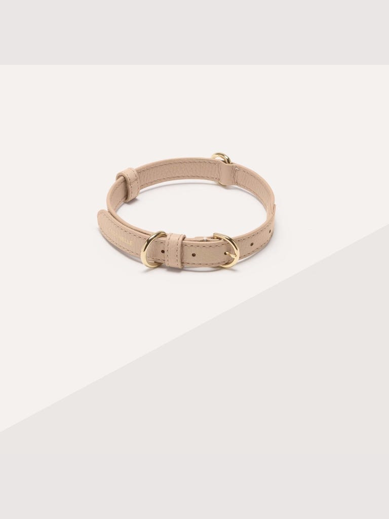 Coccinelle Pet Accessories - Multi Blanco / Rosette