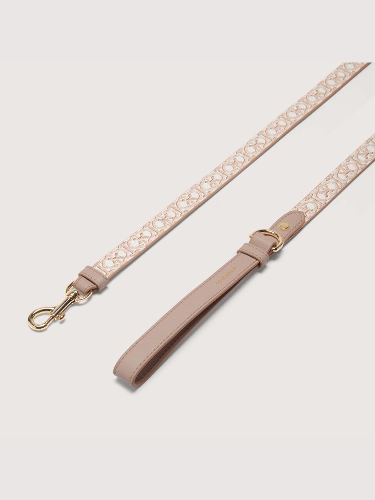 Coccinelle Pet Accessories - Multi Blanco / Rosette