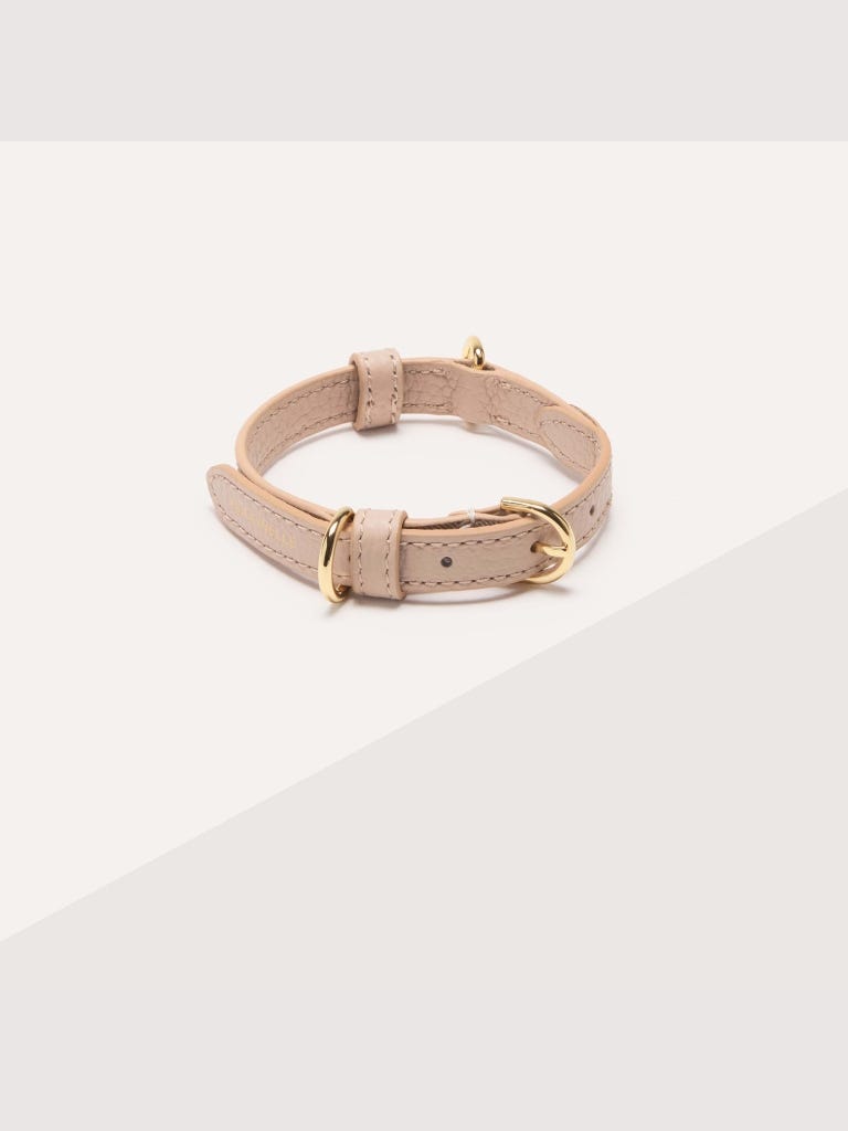 Coccinelle Pet Accessories - Multi Blanco / Rosette