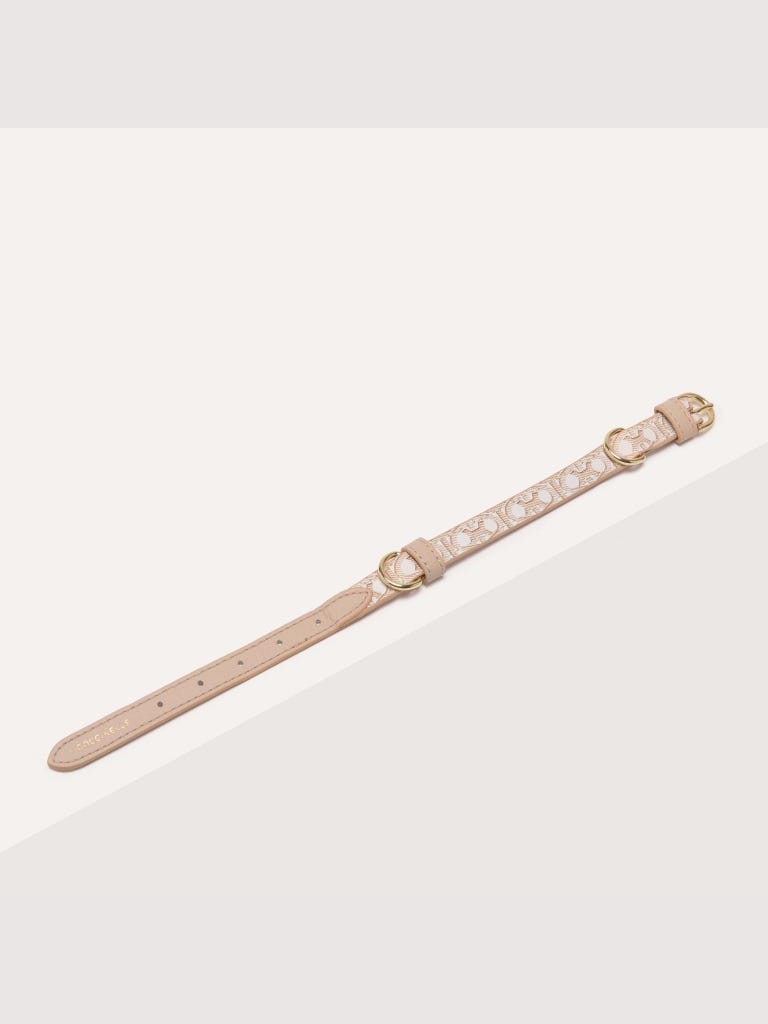 Coccinelle Pet Accessories - Multi Blanco / Rosette