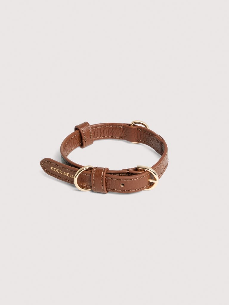 Coccinelle Pet Capsule Small - Multi Cognac / Cognac