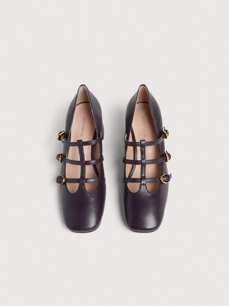 Coccinelle Sven - Prune