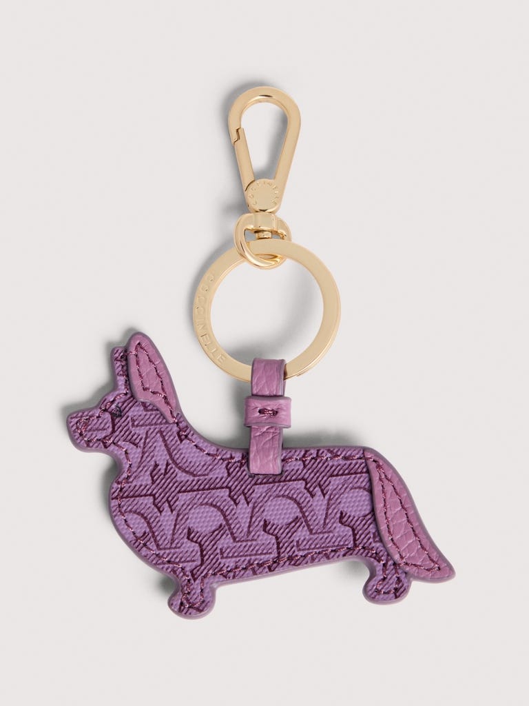 Coccinelle Pet Capsule - Multi Jellyfish / Jellyfish