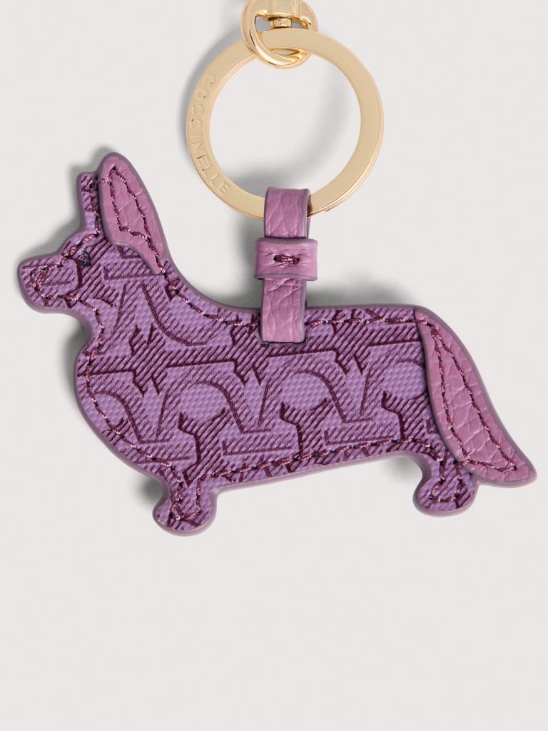 Coccinelle Pet Capsule - Multi Jellyfish / Jellyfish